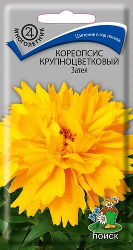 Кореопсис крупноцветковый Затея