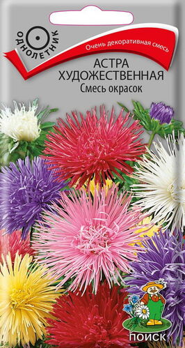 Астра художественная Смесь окрасок