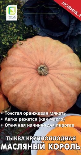 Тыква крупноплодная Масляный Король