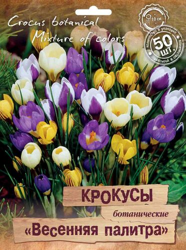 Крокусы ботанические "Весенняя палитра" смесь окрасок  (50 шт)