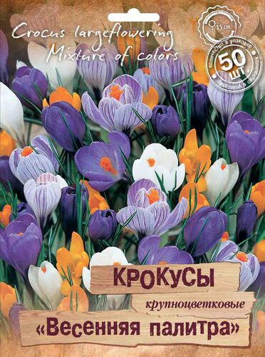 Крокусы крупноцветковые "Весенняя палитра" смесь окрасок  (50 шт)