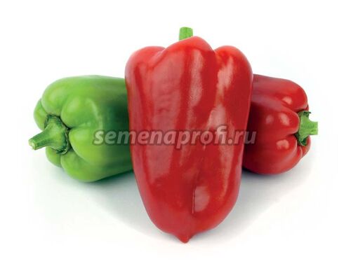 Перец сладкий Богатырь (1уп-50гр)