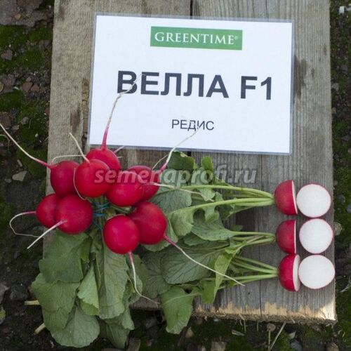 Редис Велла F1 GreenTime 500гр